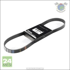 Cinghia alternatore servizy