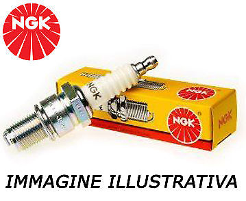 Kit candele ngk fiat - candele,