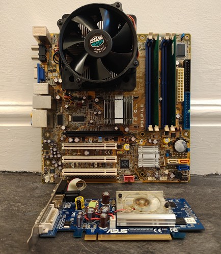 Asus p5lp scheda - scheda, madre