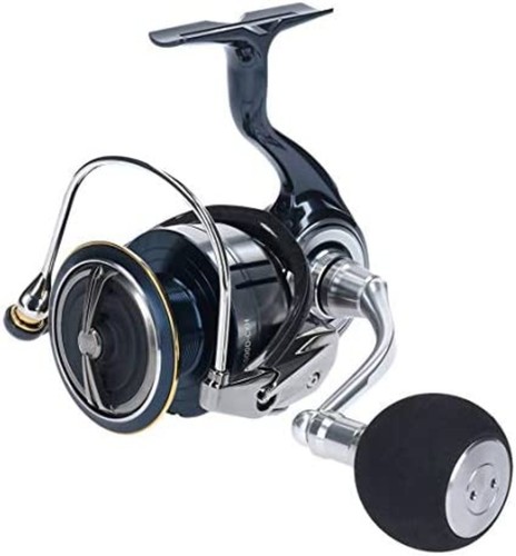 Mulinello spinning daiwa 19 - mulinello,