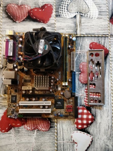 Scheda madre am2 asus - scheda,