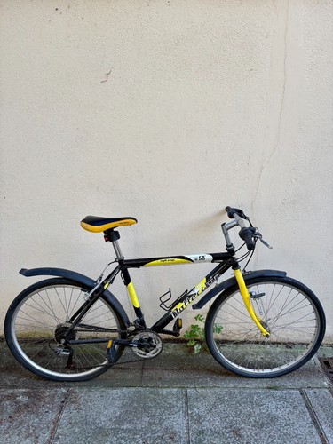 Bici bottecchia eagle wings - wings, fx