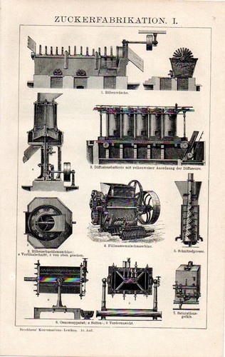1893 zucchero produzione - 1893,