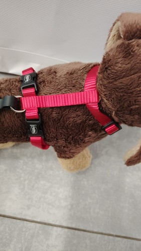 Pettorina per cane - per,