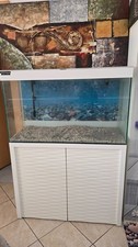 Acquario ciano emotion - acquario,