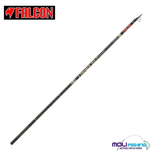 Canna pesca bolognese - pesca, falcon