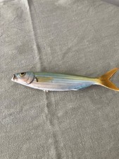 Piccolo pesce in ceramica