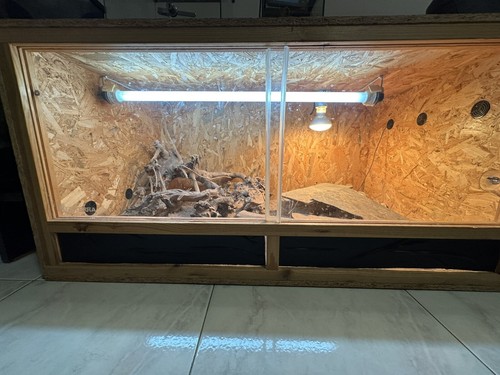 Terrario pogona - terrario,