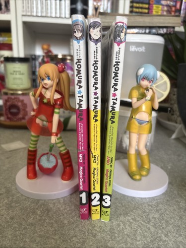 Puella magi homura tamura - magi,