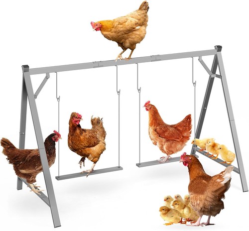 Pollo posatoi con oscillante
