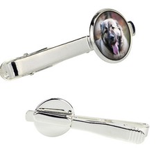 Cane da pastore del Caucaso