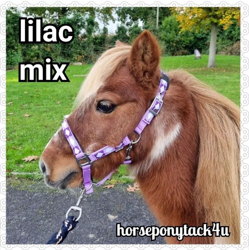 Mini collari polo - collari, imbottiti