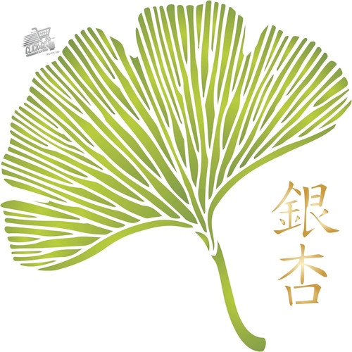 Stencil muro foglia ginkgo - stencil,
