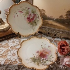 COPPIA ANTICHI PIATTI