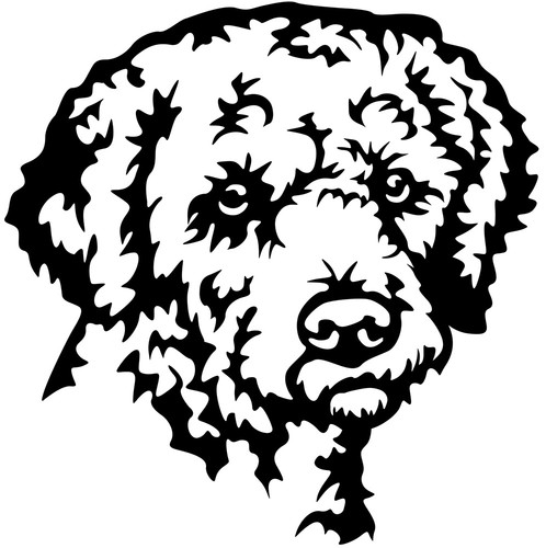Adesivo lagotto romagnolo - lagotto,