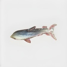 Scultura statuina squalo/peso