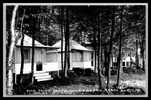 Cartolina maine pine point - cartolina,