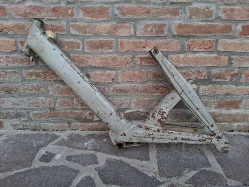 Imn paperino telaio - imn,