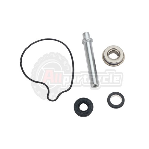 Kit riparazione pompa acqua