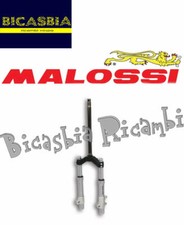 13092 forcella malossi - -, f37r