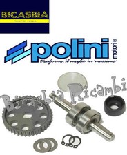 8086 - POMPA ACQUA POLINI PIAGGIO ZIP SP - MODELLO 2000
