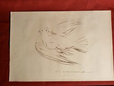 PABLO PICASSO STAMPA INCISA LA COLOMBA VOLANTE GALLERIA TIMBRO ANNI '70 VINTAGE