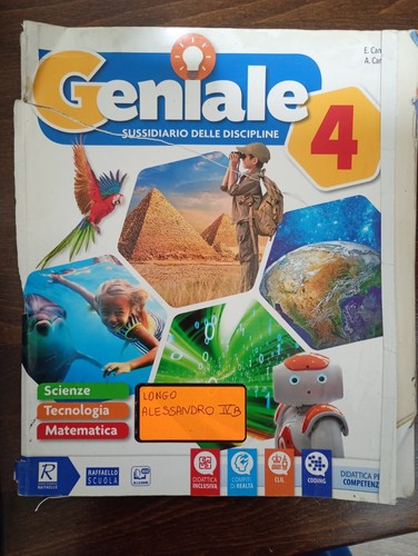 454 libro geniale 4 - 454.,