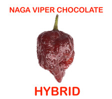 NAGA VIPER CHOCOLATE semi di
