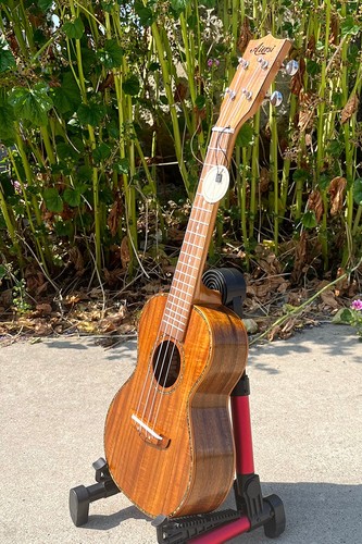 Ukulele concerto aiersi koa - ukulele,