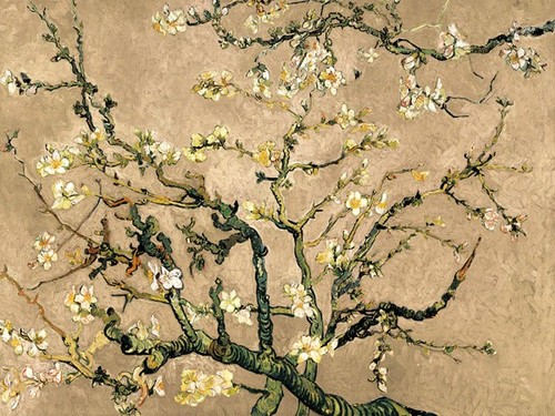 Quadro vincent van gogh - quadro,
