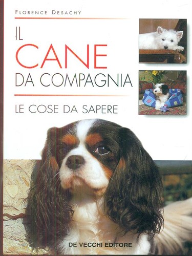 Cane compagnia animali - il,