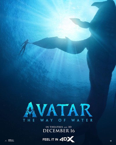 Avatar via dell acqua - dell'acqua, 32