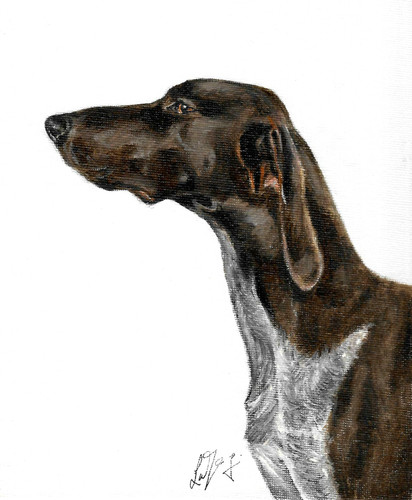 Dipinto ritratto olio - ✤,