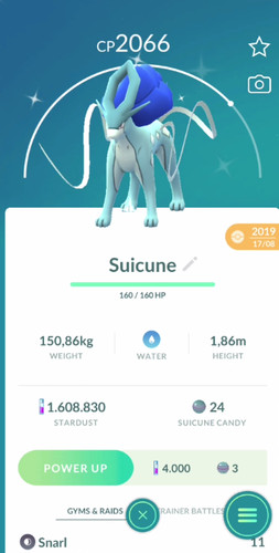 Pokemon✨Suicune