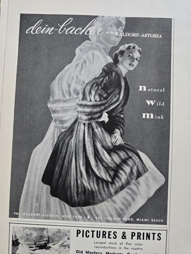 1951 dein bacher the - of,
