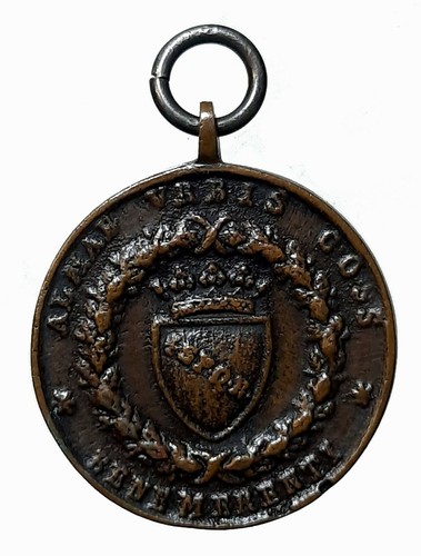 Medaglia volontari - medaglia,