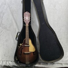 Mandolino elettrico kay 95 - mandolino,