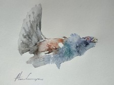 Capercadillie, uccellini