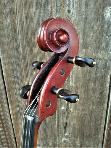 Violoncello alt - alt,