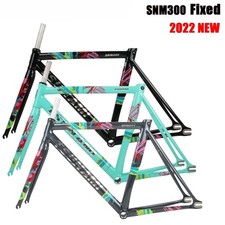 Telaio Bici Ingranaggio Fisso