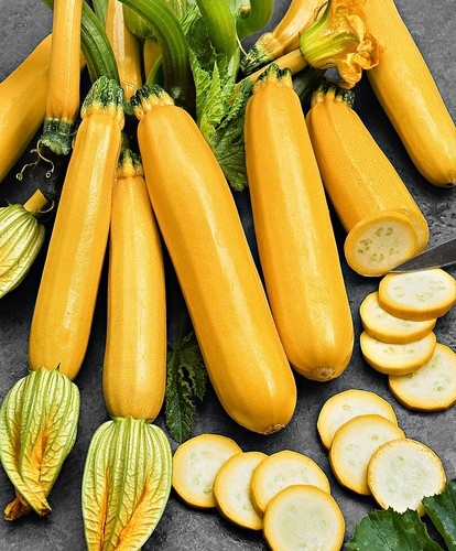 Zucchine zolotinka seёds 2 - zucchine,