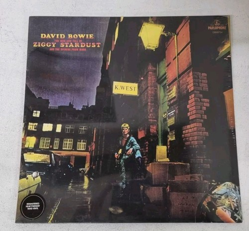 David bowie the - rise, fall