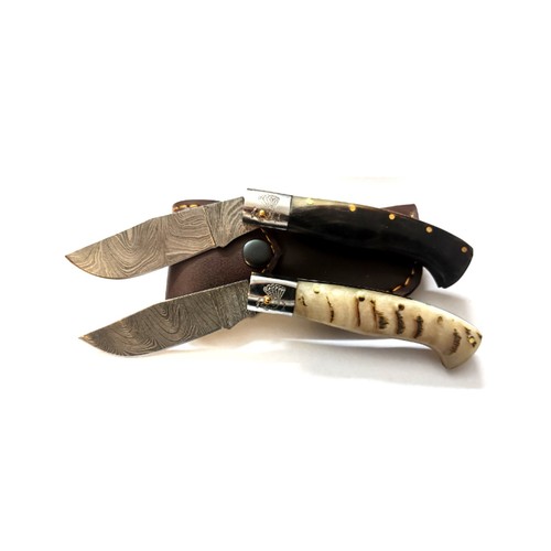 Knife sardisia arburesa - knife, sarda
