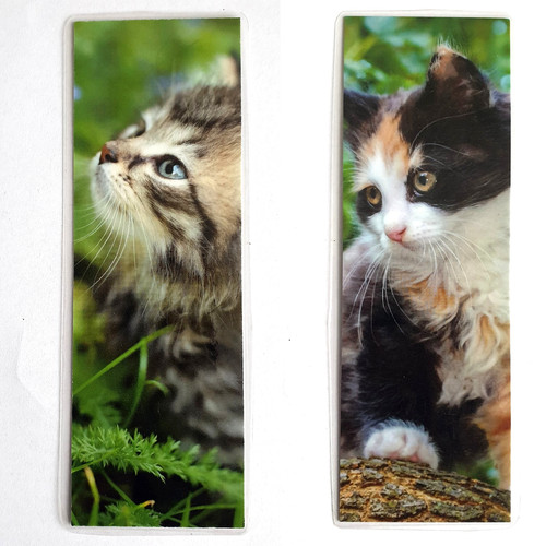 Segnalibro calico tabby - calico,