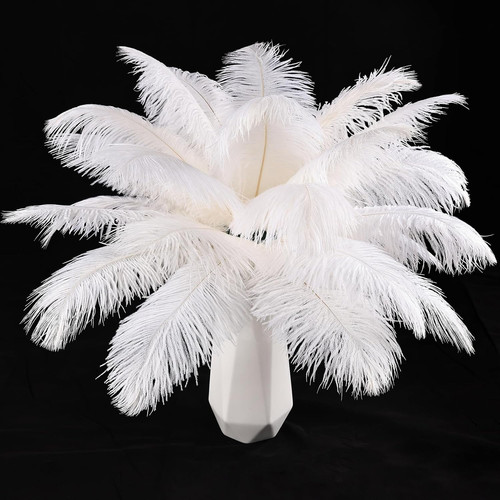 Piume struzzo bianco - di,