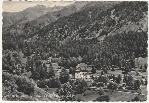 Ponte legno brescia la - legno,