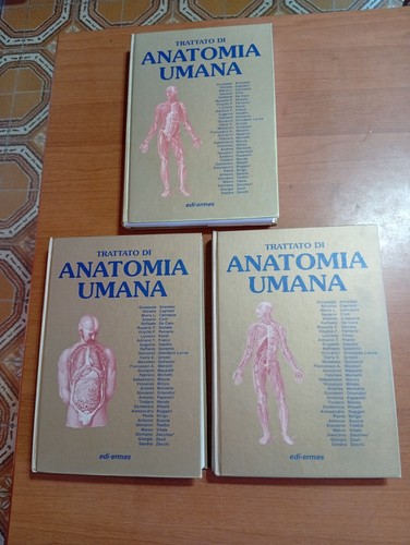 Trattato anatomia anastasi - di,