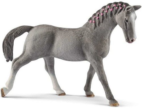 Giumenta trakehner animali - giumenta,