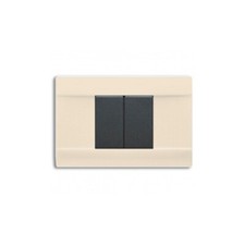 AVE 45P02BL PLACCA IN