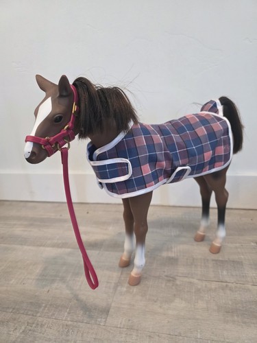 Our generation quarter horse - our,